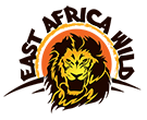 east africa travel agency