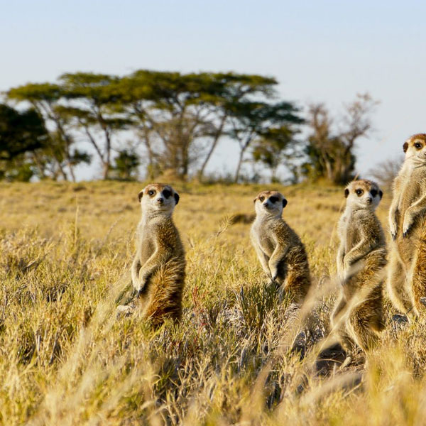 east africa adventure tours