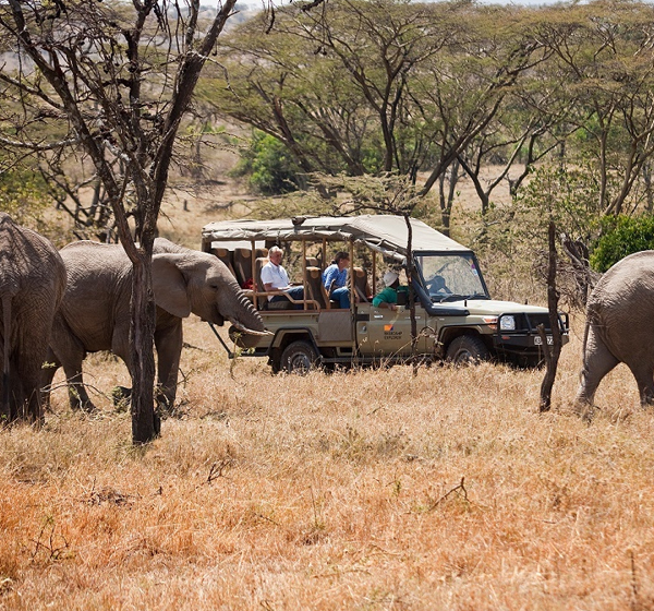 safaris in east africa